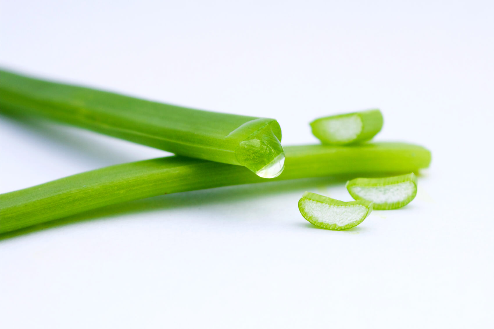 Plant extracts for use in a variety of personal care applications