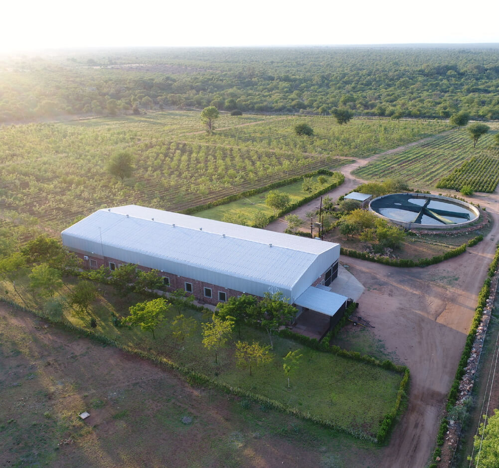 Botanica production facility cultivates plant extracts and oils for personal care applications